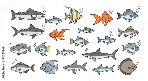 Colorful school of ocean fish.