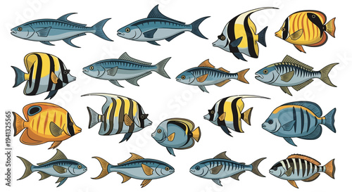 Colorful Tropical Fish School.