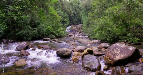 Jungle Stream with Boulders in Sinharaja Rainforest Sri Lanka
