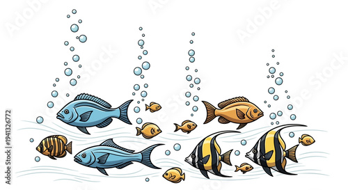 School of Colorful Tropical Fish.