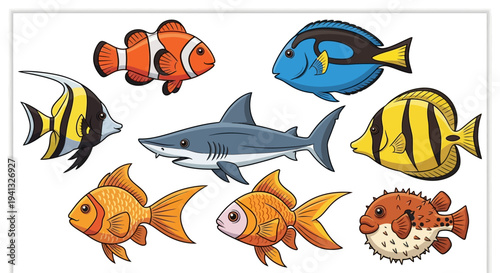 Colorful fish and shark illustrations.