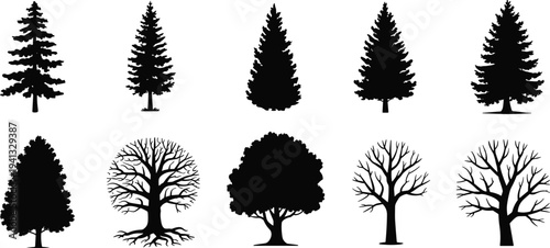 Collection of tree silhouettes, pine and deciduous forest trees set, black botanical nature shapes, isolated woodland vector illustration