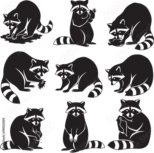 Cute Black and White Raccoon Vector Set in Various Playful Poses and Positions