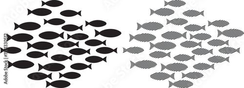 Schools of fish swimming in opposite directions with distinct formations