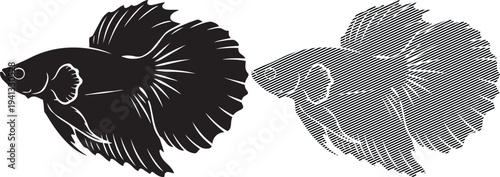 Side-by-side comparison of a betta fish with its camouflaged version.