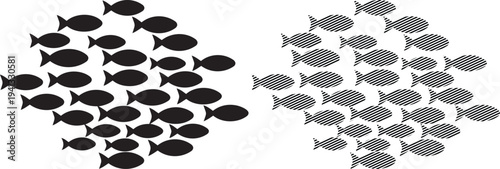 Schools of fish swimming in contrasting patterns of formation and density