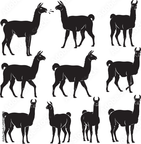 Minimalist Black Silhouette Llamas Vector Set for Design and Illustration