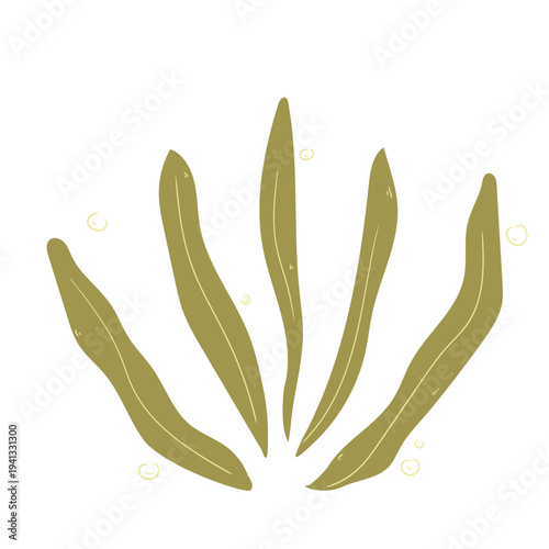 underwater sea life. seaweed cartoon