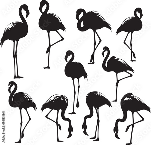 Black Silhouette Flamingo Illustrations on White Background