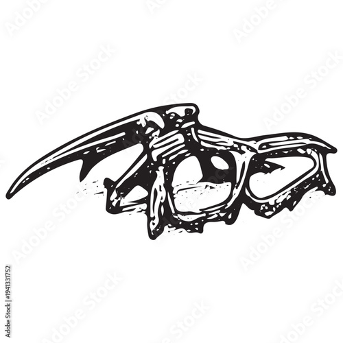 Ice Climbing Crampon Frame Illustration – Mountaineering Boot Spikes Alpine Gear