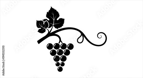 Grapes on a vine with leaves and tendrils - artistic silhouette illustration
