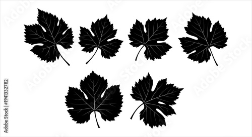 Vector illustrations of various grape vine leaves in black silhouette style, isolated on a clean white background