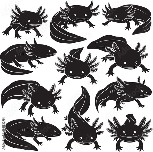 Cute Axolotl Silhouettes Collection: Diverse Poses and Expressions, Black and White Vector Art