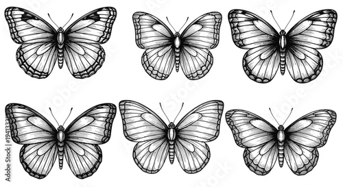 Six Hand-Drawn Butterfly Illustrations, Vintage Style