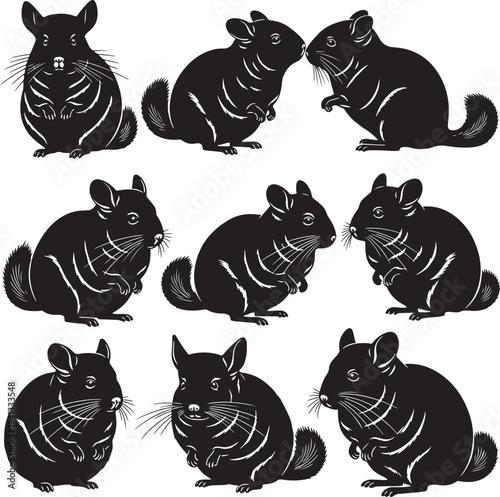 Set of Black and White Chinchilla Illustrations in Various Poses