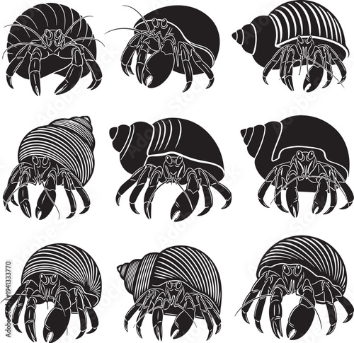 Set of Black and White Hermit Crab Illustrations