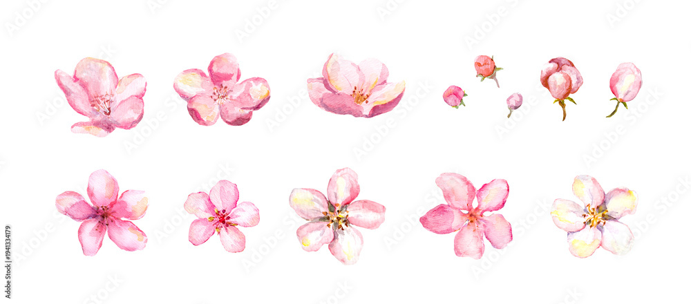 Naklejka premium Watercolor pink blossom flowers and buds isolated on white. Minimal floral clipart for logos, stickers, invitations, social media and feminine design.
