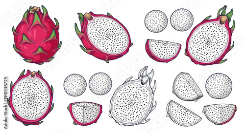 Dragon Fruit Exotic Fruit Illustration - Whole and Sliced Pitaya
