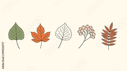 Set of hand-drawn autumn leaves and a bunch of berries in warm fall colors including orange, green, and brown tones.