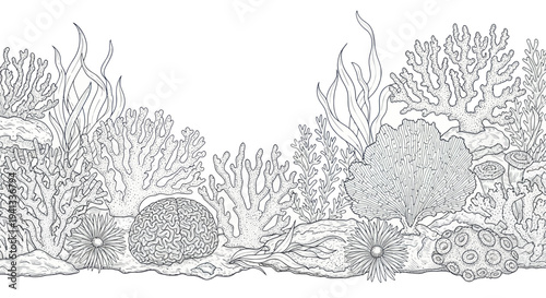 Hand-drawn coral reef outline, underwater marine life, sea plants and anemones