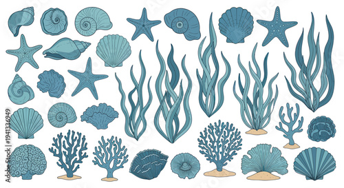 Ocean Life Collection: Seashells, Starfish, Coral, and Seaweed - Blue Tones