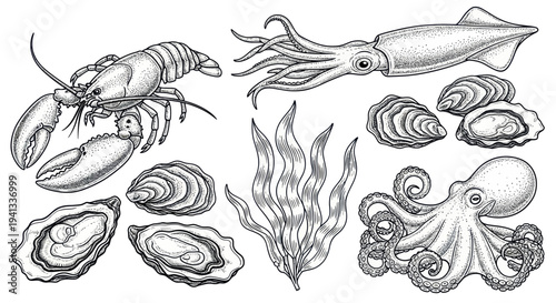 Seafood Collection: Lobster, Squid, Octopus, Oysters, and Seaweed