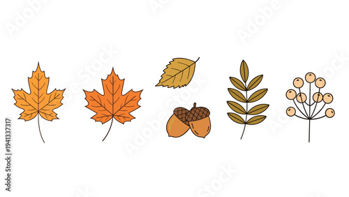 Line of autumn elements including orange maple leaves, a brown oak leaf, acorns, berries, and a branch with small leaves.