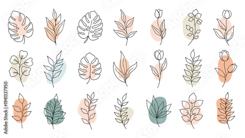 Modern botanical illustration set features various leaves and flowers in line art with organic pastel color shapes on a clean background.