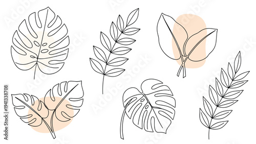 Selection of tropical monstera and palm leaf line drawings paired with abstract soft peach colored circles on a white background.