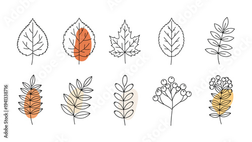 Collection of various autumn leaf and berry branch line drawings accented with warm earthy color spots on a white background.