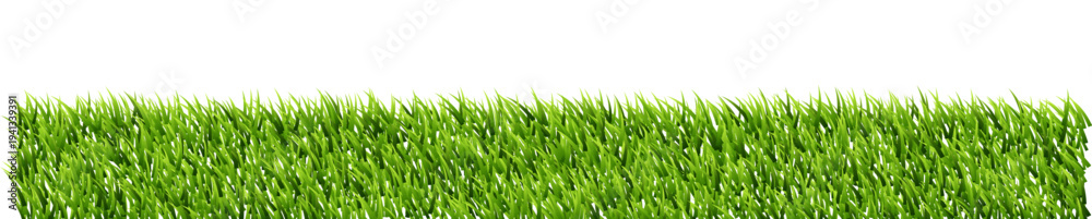 Obraz premium Green grass border isolated on transparent background.