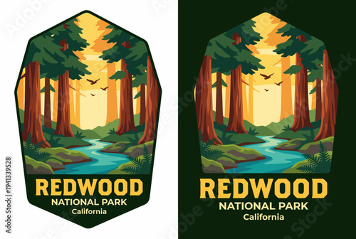 This stunning illustration of Redwood National Park showcases towering trees and a flowing creek, emphasizing the beauty and serenity of nature in California's wilderness.