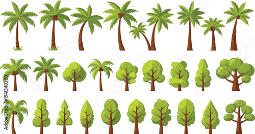 Cartoon tropical palm and green forest trees collection vector set isolated nature plants landscape elements illustration