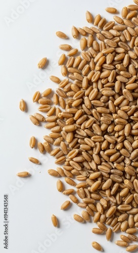 Scattered raw wheat kernels creating a simple, textural pattern on a pristine white background, suitable for minimalist designs, pattern, top view, close up