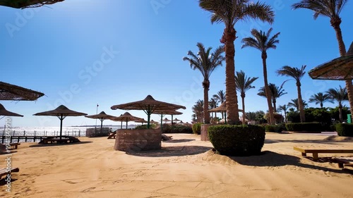 Panoramic view of empty beach in the morning with sun loungers, umbrellas and palms