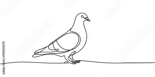 Minimalist single line drawing depicts a simple pigeon standing on a horizontal surface