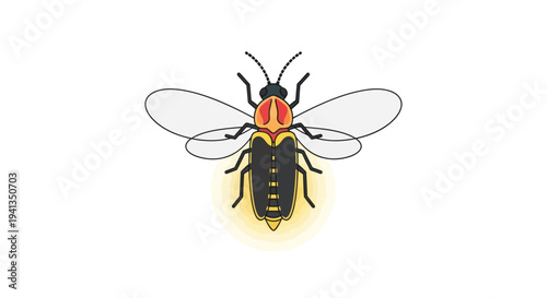 Black Fly with Orange Head Illustration.