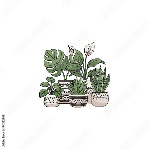 Collection of potted house plants variety.
