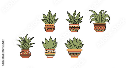 Collection of potted green house plants.