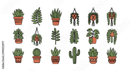 Collection of various potted cacti plants.
