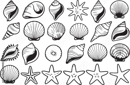 Hand drawn collection of various seashells and starfish isolated on transparent background vector