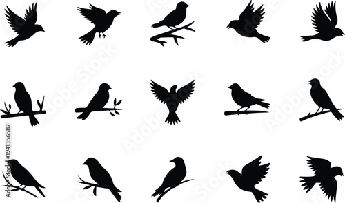 Variety of Black Solid Bird Vector Icons in Different Poses Including Flying and Perched for Nature and Wildlife Concepts
