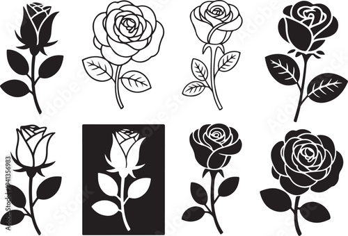 Rose flower and bud illustrations, elegant botanical drawings of roses with leaves and stems for romantic or natural themes