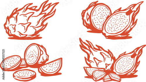 Hand Drawn Dragon Fruit Set Vector Illustration, Pitaya Fruit Sketch Collection.