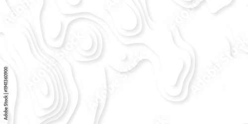 Abstract background vector Abstract wavy line 3d paper cut white background. Abstract pattern with lines. Abstract sea map geographic contour map and topographic contours map background.