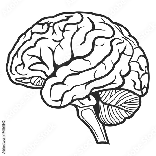 brain icon learning intelligence silhouette bla (1)