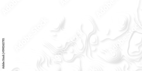 Abstract background vector Abstract wavy line 3d paper cut white background. Abstract pattern with lines. Abstract sea map geographic contour map and topographic contours map background.