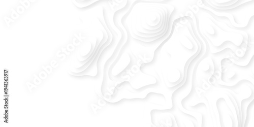 Abstract background vector Abstract wavy line 3d paper cut white background. Abstract pattern with lines. Abstract sea map geographic contour map and topographic contours map background.