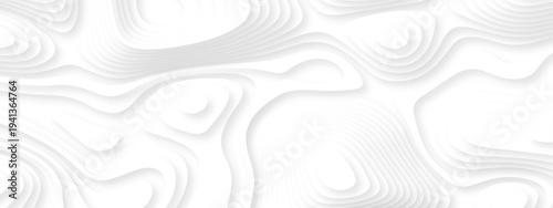 Abstract background vector Abstract wavy line 3d paper cut white background. Abstract pattern with lines. Abstract sea map geographic contour map and topographic contours map background.