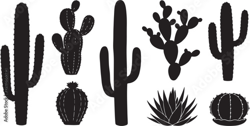 Collection of various cactus and succulent plant silhouettes isolated